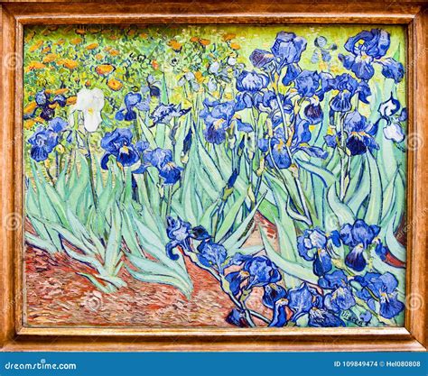 Van Gogh, Iris Painting, Getty Museum, Los Angeles - Original Editorial ...