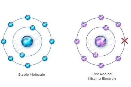 Image result for Free Radical Explain It