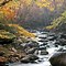 Image result for East Tennessee Spring Desktop