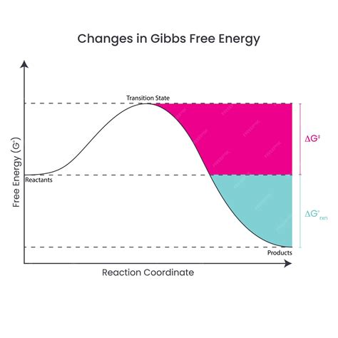 Premium Vector | Changes in gibbs free energy depicted in a reaction ...
