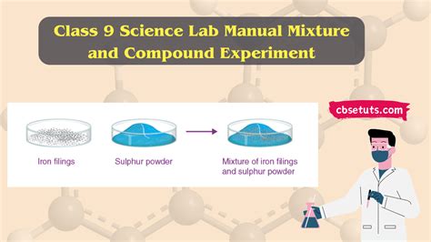 Image result for NCERT Class 9 Experiments