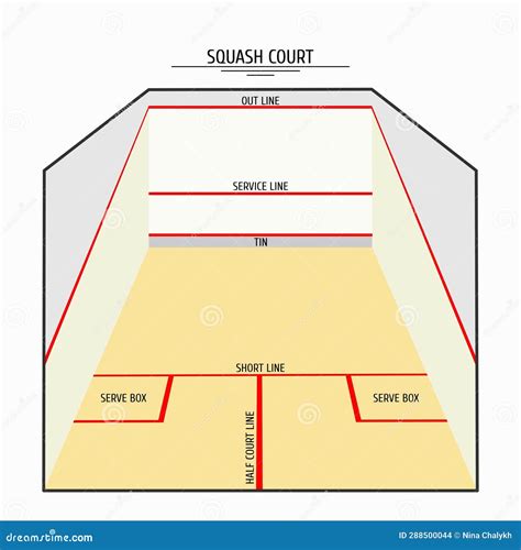 Squash Court with Red Marking Lines with Zone Names. Squash Court ...