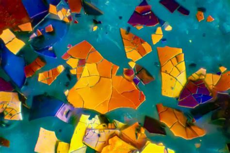 Graphics Card Under Microscope 的图像结果