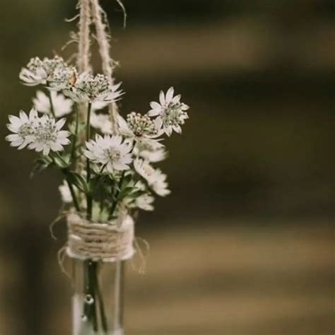 | Quotes & Writings by Aesthetic Thoughts | YourQuote