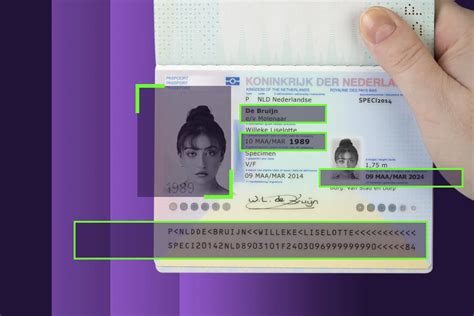 Image result for Document Verification