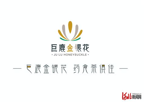 巨鹿金银花区域公用品牌发布会在石家庄举行_腾讯新闻