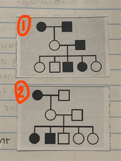 Image result for Biology Principles of Inheritance
