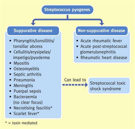 What Preventive Measures Can Be Taken To Avoid Streptococcal Throat Infections In Schools ...