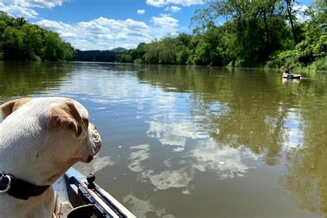 Clyde's River Guides & Outfitters - Ridgeley | Tripadvisor