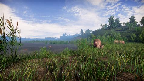 Lightning Fast Game 的图像结果