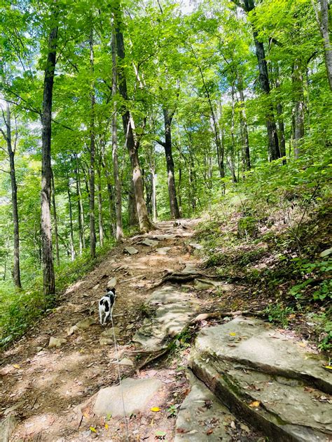 Tioga Falls – Kentucky – Planned Spontaneity