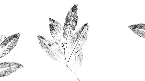 Château Berliquet - Grand Cru Classé - Saint-Emilion Grand Cru