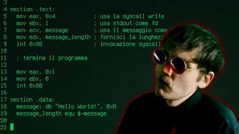 Image result for HelloWorld X86 Machine Code