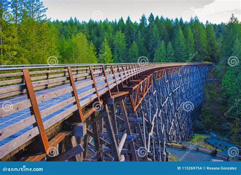 Kinsol Trestle Railroad Bridge in Vancouver Island, BC Canada. Stock ...