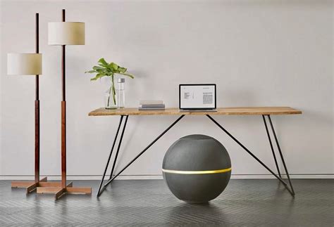 TECHONOGYM WELLNESSBALL | BODY AGENT