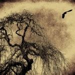 آبی گرافیک | دانلود آموزش ،گرافیک و عکس