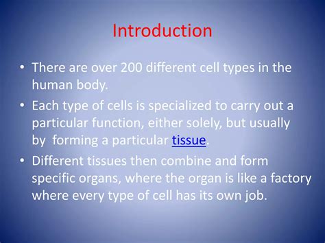 Image result for Human Cell Types and Functions