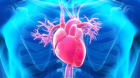 Image result for Heart Beat RPG Tutorial