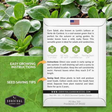 Corn Salad Verte de Cambrai – Mâche Seeds – SurvivalGardenSeeds