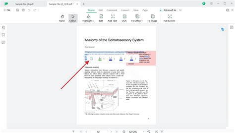 Image result for How to Copy and Paste PDF File