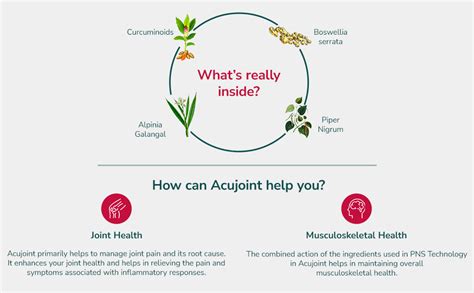 PureVeda Acu Joint | Natural Joint Pain Supplement | Alpinia Galangal ...