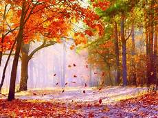 Fall Computer Wallpaper Backgrounds by 20 Fall Wallpapers Backgrounds Images Freecreatives Fall Computer Wallpaper Backgrounds