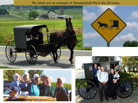 Social Structures Examples 的图像结果