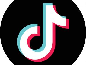 Image result for Tiktok. Com Challenges