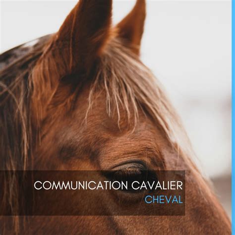 Image result for Communication Cheval