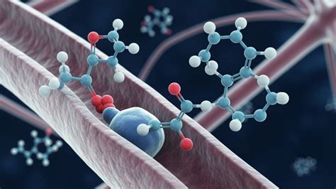 Image result for Prefrontal Cortex Exercises