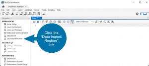 Image result for Restore Database MySQL From MySQL Workbench
