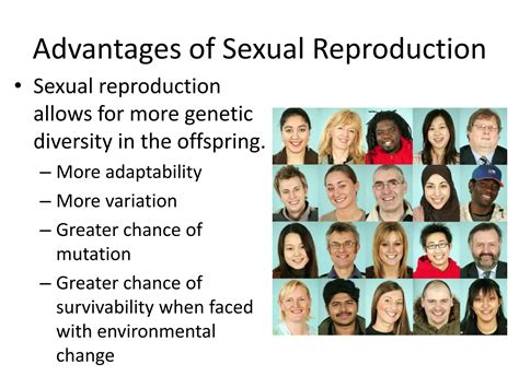Advantages Of Sexual Reproduction