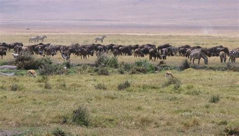 Tanzania in March 2026 – Weather, Safaris & Things to Do