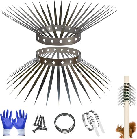 Amazon.com : Bird Spikes, Squirrel Spikes and Squirrel Baffles Keep ...