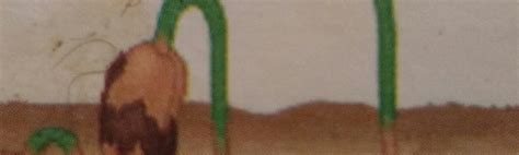 write a note on Epigeal germination - Brainly.in