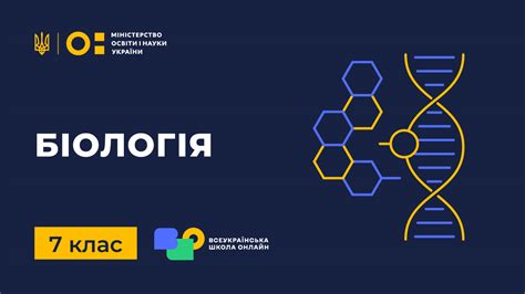 Класи | 7 клас | ВШО