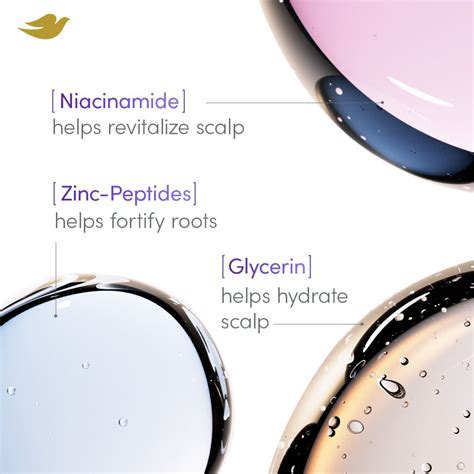 Buy Dove Scalp+Hair Therapy Sulphate Free Density Boost Strengthening ...