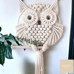 Azeem Mart Macrame Owl Wall Hanging, Boho Wall Decor, Bohemian Style ...