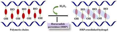Enzyme-Triggered Crosslinked Hybrid Hydrogels for Bone Tissue Engineering