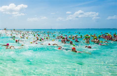 Open Water Swimming 的图像结果