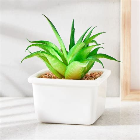 Buy Fiesta Artificial Plant in Ceramic Pot from Home Centre at just INR ...