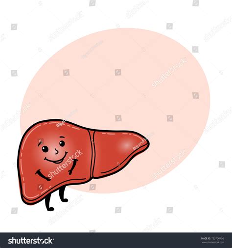 Image result for Liver Function Grincs