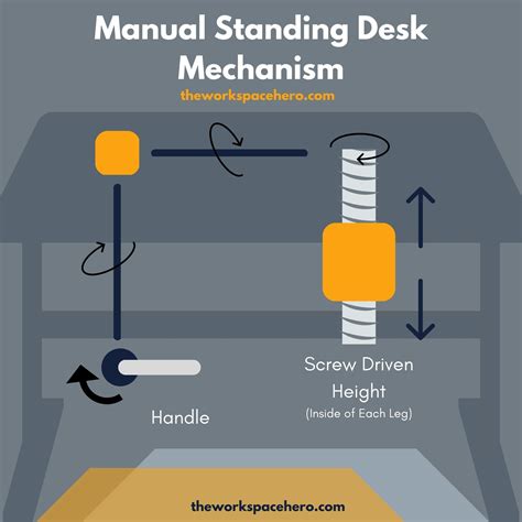 How Standing Desk at Nancy Hansen blog