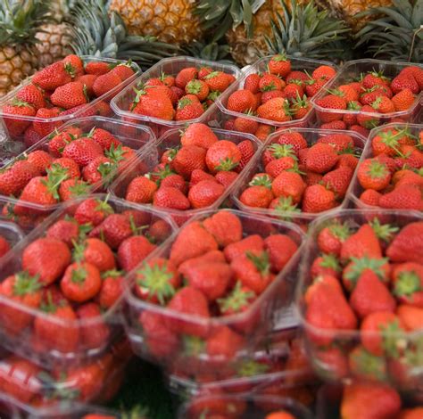 Learn how Carrier protects fruit and other perishables during transport ...