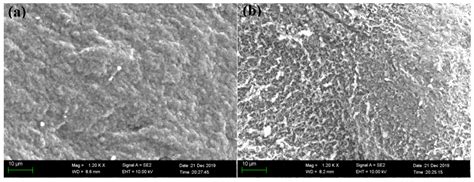 Effective Adsorption of Reactive Black 5 onto Hybrid Hexadecylamine ...