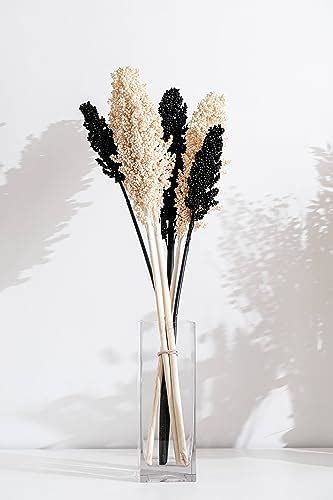 Buy Coastal Habitat | Black & White Corn Stems | Set of 5 | 3 Black & 2 ...