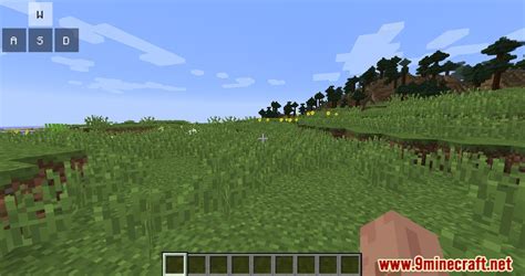 Image result for Minecraft Java Keystrokes