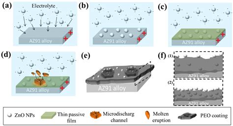 Unveiling the Effect of Particle Incorporation in PEO Coatings on the ...