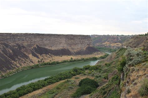 Idaho agriculture department plans second quagga mussel treatment in Snake River in November ...
