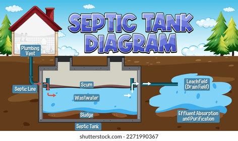 Image result for How a Septic System Works Animation